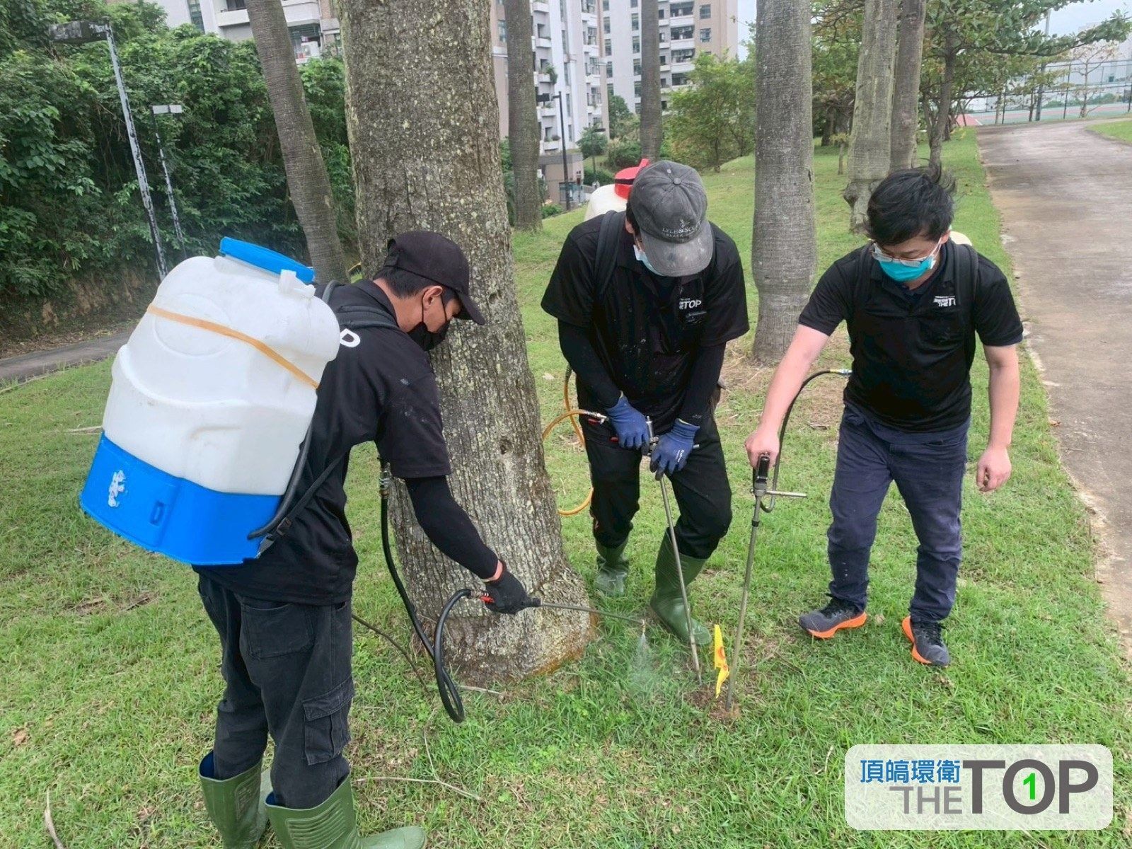 公園綠地樹木周邊環境處理