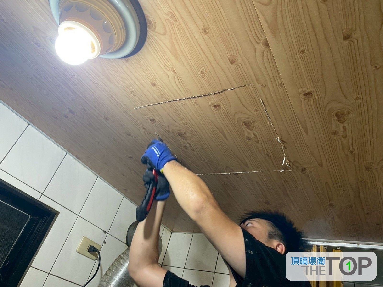 木質天花板開孔確認白蟻巢體