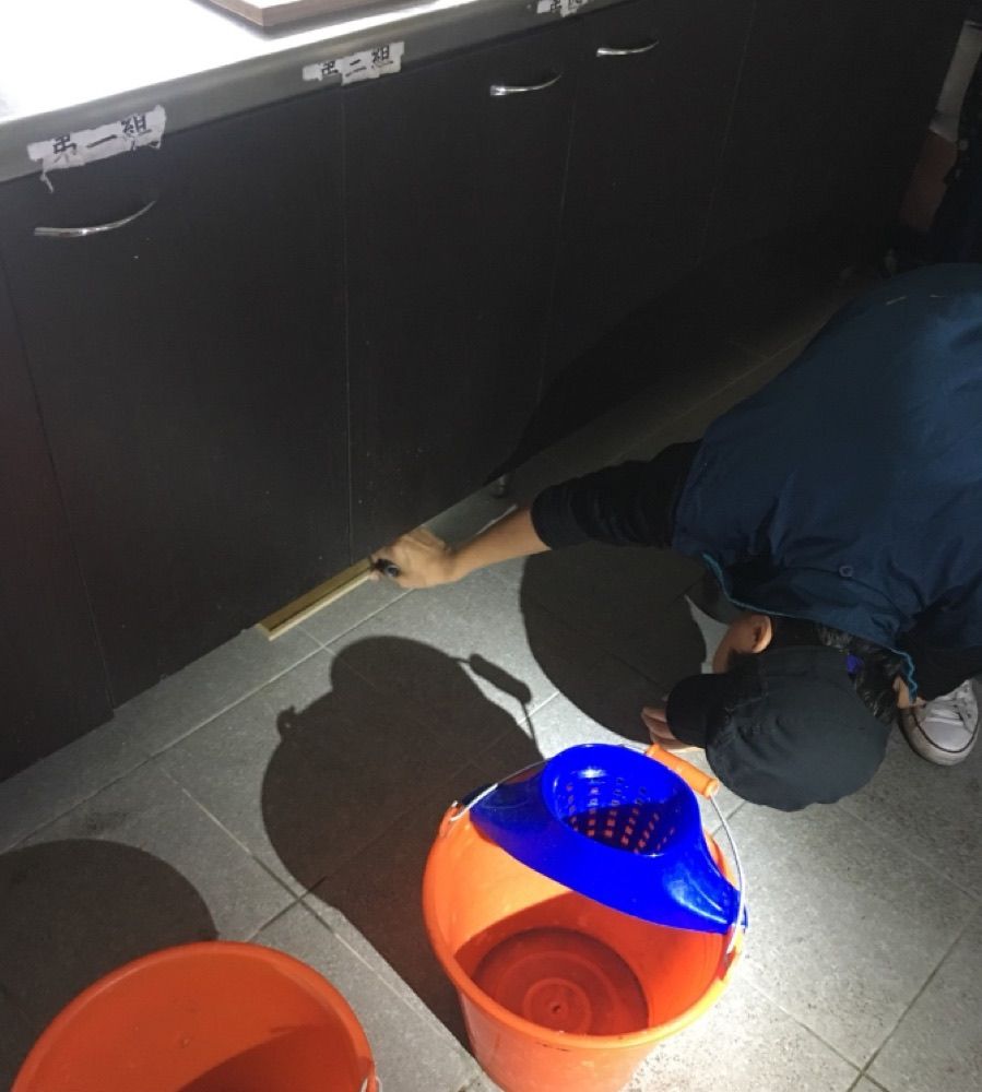 老鼠板投遞